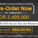 Pre Order Blackberry Aurora