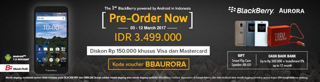 Pre Order Blackberry Aurora